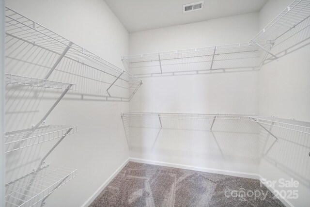 spacious closet featuring visible vents and carpet floors