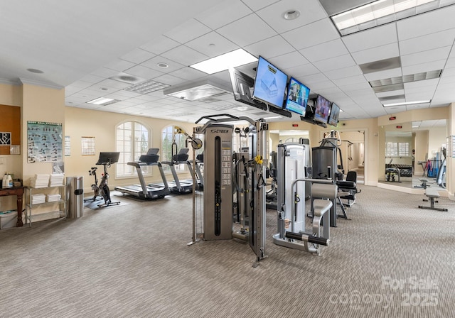 workout area with a paneled ceiling and carpet