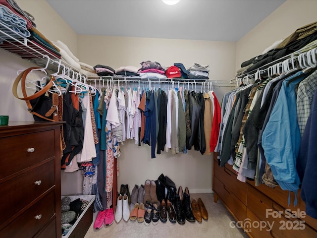 430 Battery Cir, Clover, SC 29710 - walk in closet with carpet flooring