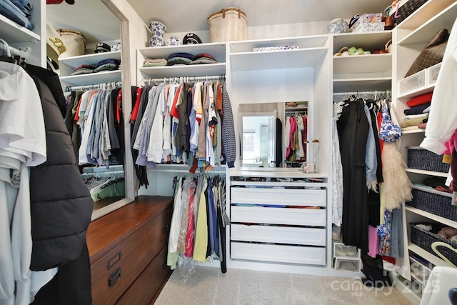 view of spacious closet