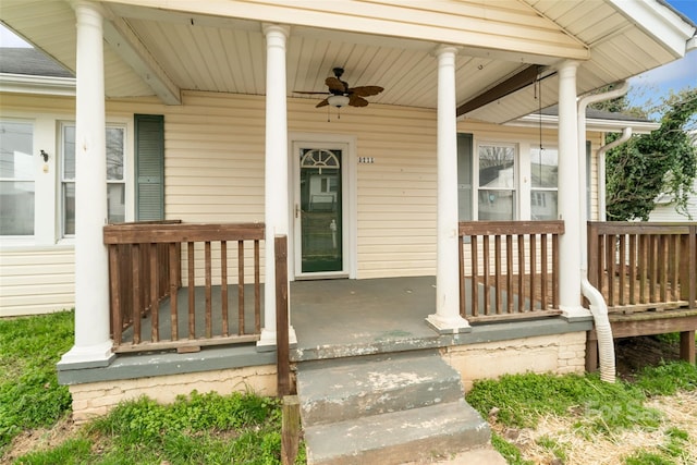 property entrance featuring covered porch