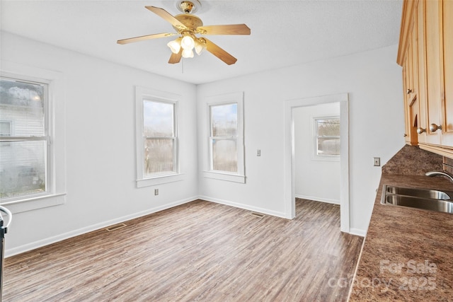 kitchen featuring wood finished floors, a healthy amount of sunlight, baseboards, and a sink