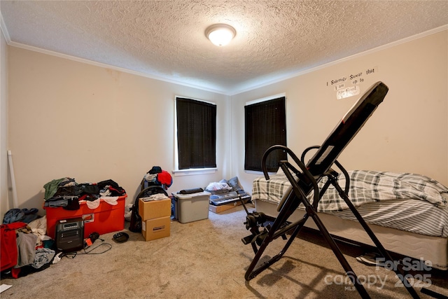 1414 S Post Rd, Shelby, NC 28152 - exercise room with carpet, crown molding, and a textured ceiling