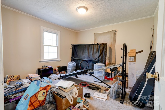 1414 S Post Rd, Shelby, NC 28152 - carpeted bedroom with ornamental molding and a textured ceiling