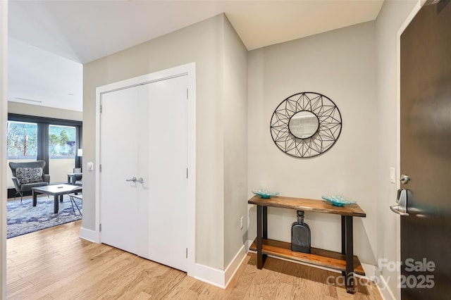 145 Biltmore Ave Unit 205, Asheville, NC 28801 - photo 17