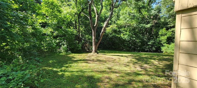 819 Circle Vw, Gastonia, NC 28054 - view of grassy yard featuring a forest view