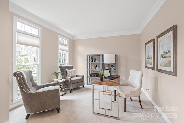 carpeted office space featuring baseboards and ornamental molding