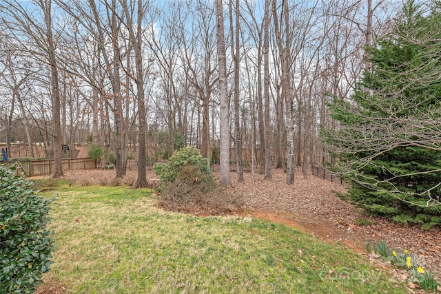 view of yard featuring fence