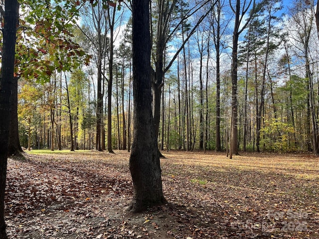 view of local wilderness featuring a wooded view