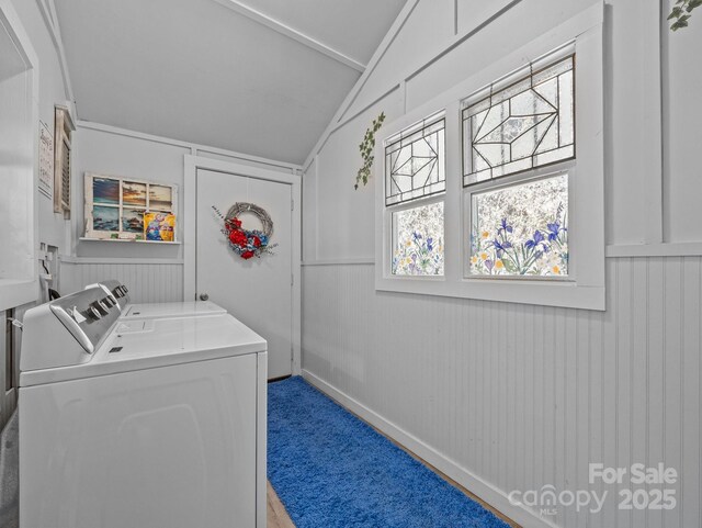 laundry area featuring laundry area, carpet, and washing machine and clothes dryer