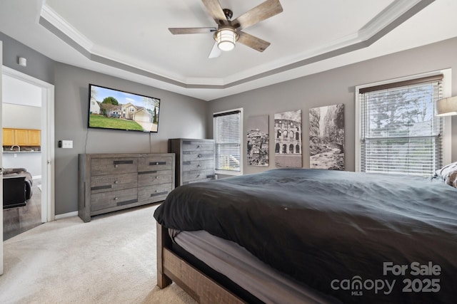 bedroom featuring multiple windows, light colored carpet, and a raised ceiling