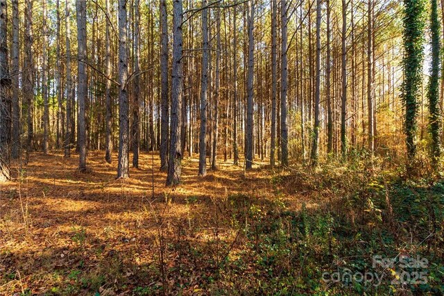 155 Patterson Rd, Kings Mountain, NC 28086
