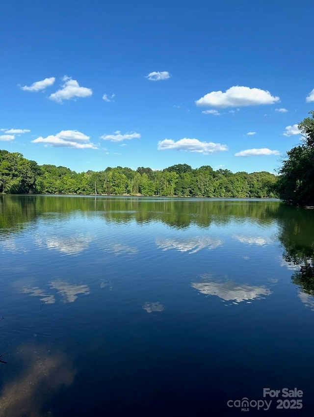 water view featuring a forest view