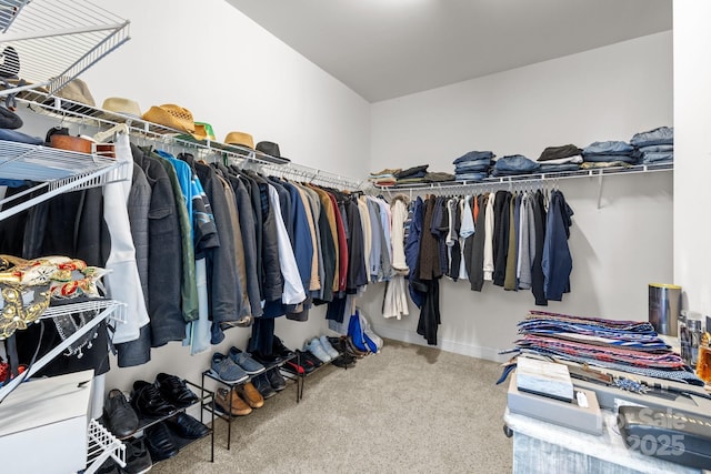 walk in closet featuring carpet