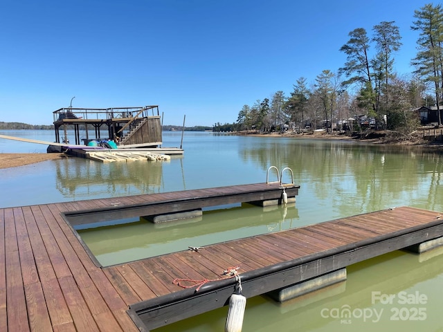 dock area with a water view