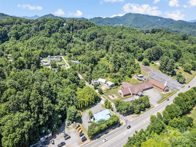 birds eye view of property with a mountain view and a view of trees