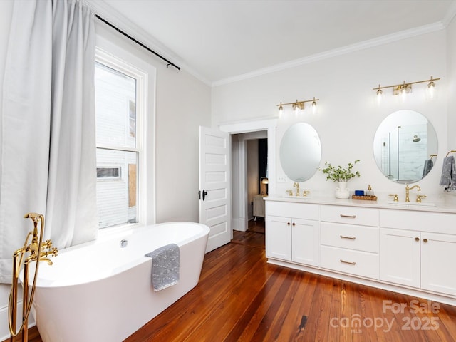 bathroom featuring a sink, wood finished floors, and ornamental molding