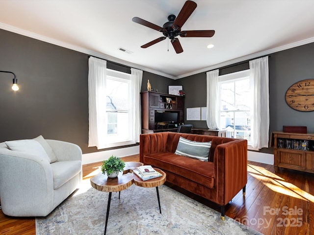 living area with ceiling fan, visible vents, wood-type flooring, and ornamental molding