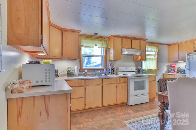 kitchen with under cabinet range hood, light countertops, a wealth of natural light, white appliances, and a sink