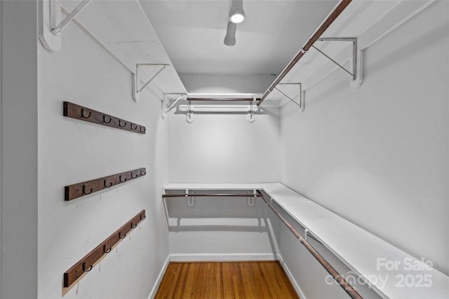 spacious closet with wood finished floors