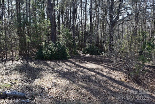 view of nature featuring a forest view