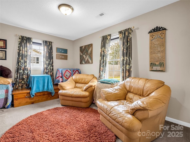 living area featuring plenty of natural light, carpet, baseboards, and a textured ceiling