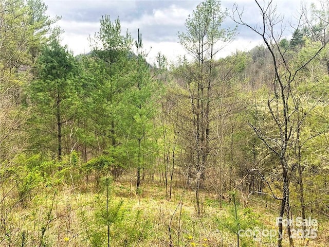 999 Freedom Ln, Hot Springs NC, 28743 land for sale