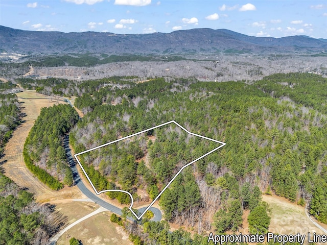 28 River Park Ln, Mill Spring NC, 28756 land for sale