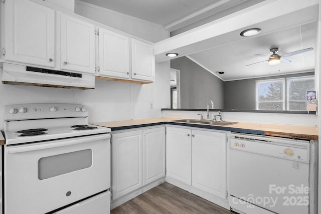 kitchen with under cabinet range hood, wood finished floors, white cabinets, white appliances, and a sink