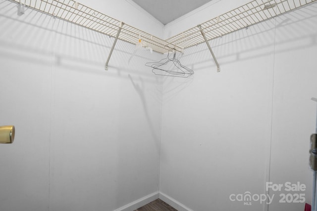 spacious closet with wood finished floors