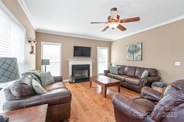 living area with ornamental molding, light wood-type flooring, a wealth of natural light, and ceiling fan