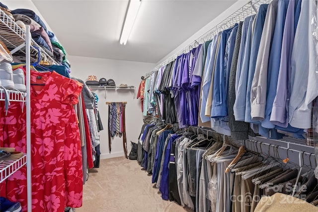 walk in closet featuring carpet floors