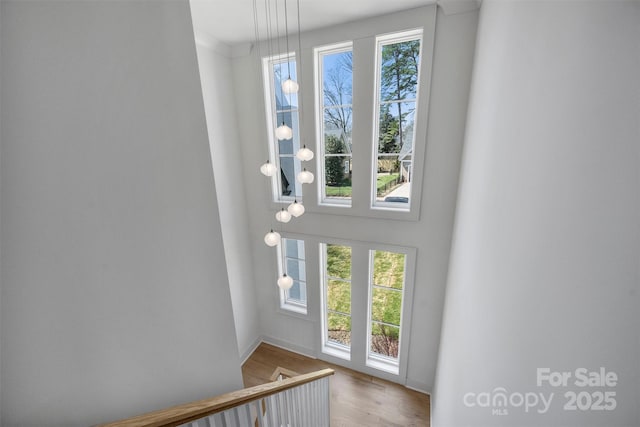 entryway with wood finished floors