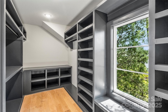 walk in closet featuring wood finished floors