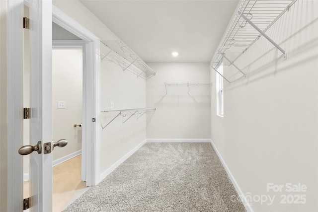 spacious closet with carpet flooring