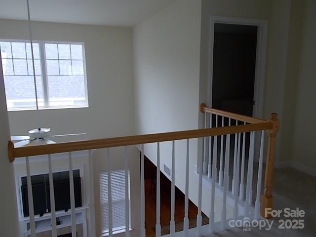 7411 White Elm Ln, Charlotte, NC 28273 - photo 4