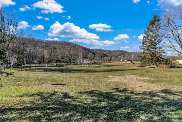 10 Lavender Ln, Candler, NC 28715 - photo 6