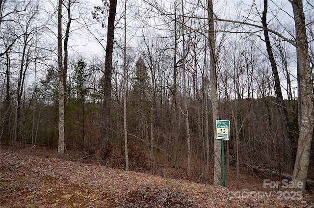 Listing photo 3 for V/L32 Bent Creek Dr Unit 32, Nebo NC 28761