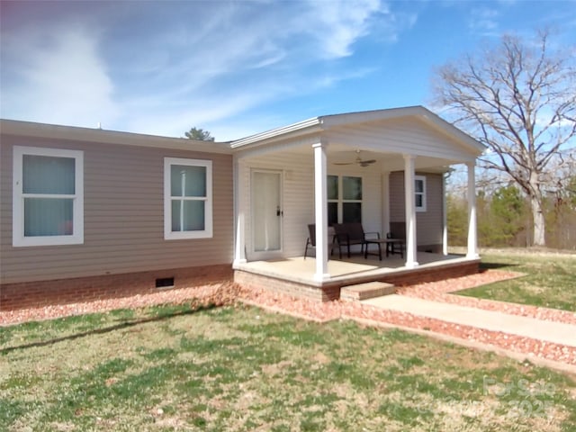 back of house featuring a lawn and a ceiling fan