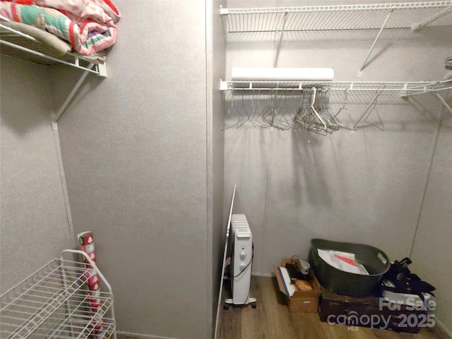 walk in closet featuring radiator and wood finished floors