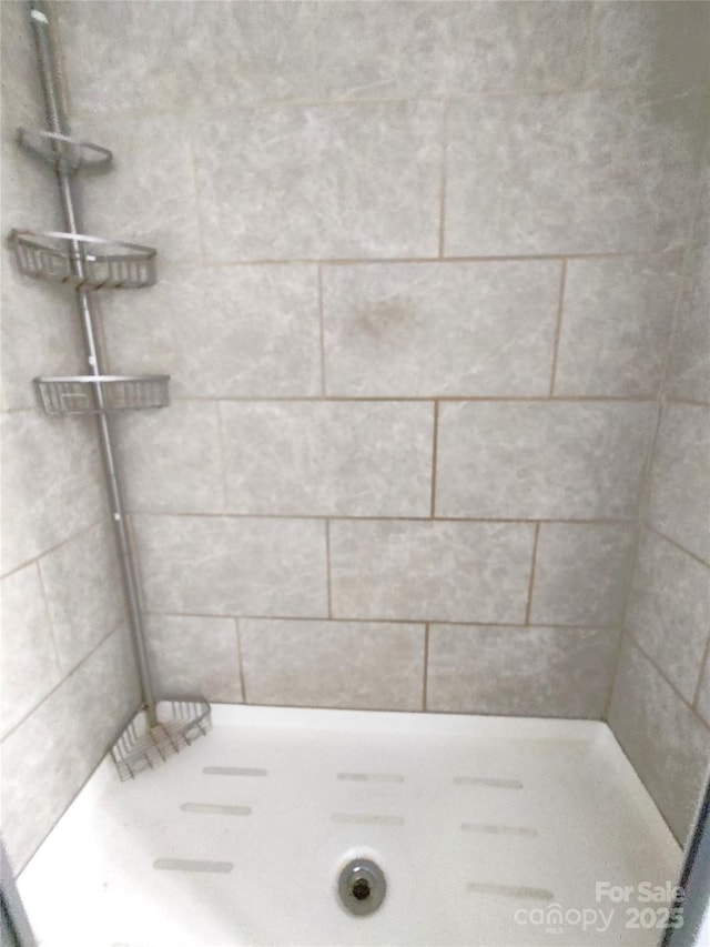 full bathroom with a tile shower