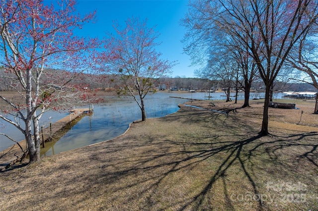 2504 Cottage Ln, Liberty Hill, SC 29074 - photo 2