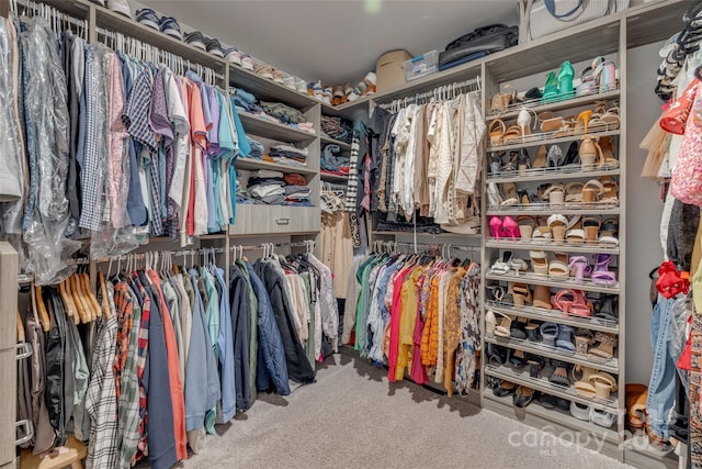 walk in closet featuring carpet floors