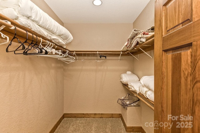 walk in closet with carpet