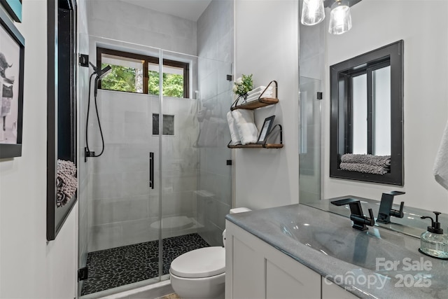 bathroom featuring vanity, toilet, and a stall shower