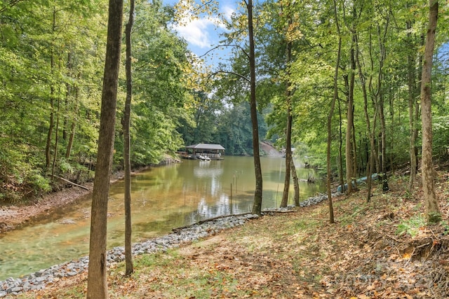 view of water feature featuring a wooded view