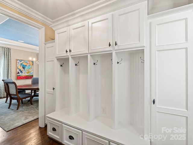 mudroom featuring ornamental molding and dark wood finished floors