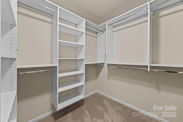 252 Legend Dr, Rock Hill, SC 29732 - walk in closet featuring carpet