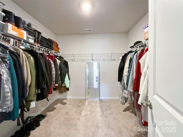 spacious closet featuring visible vents and carpet floors