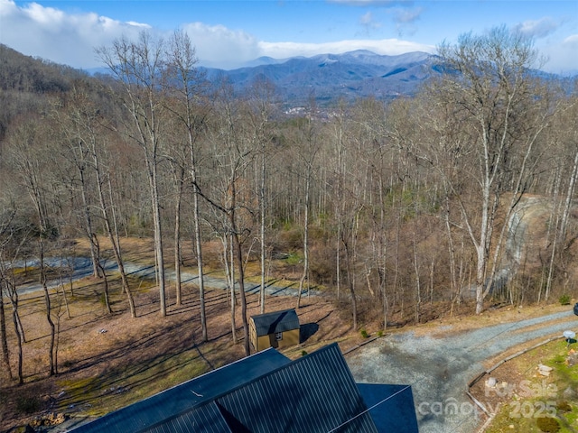 view of mountain feature with a view of trees